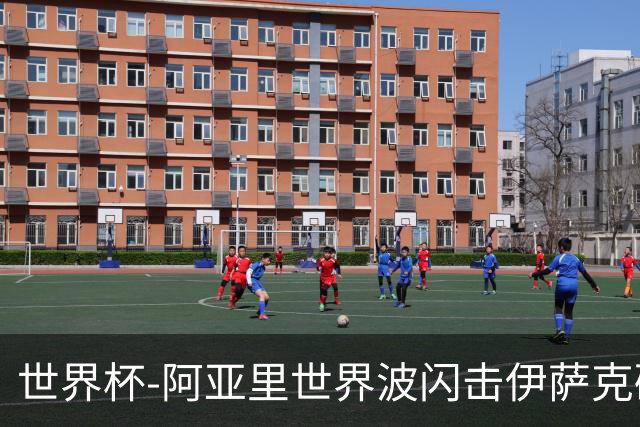 世界杯-阿亚里世界波闪击伊萨克破门 半场瑞典2-1突尼斯